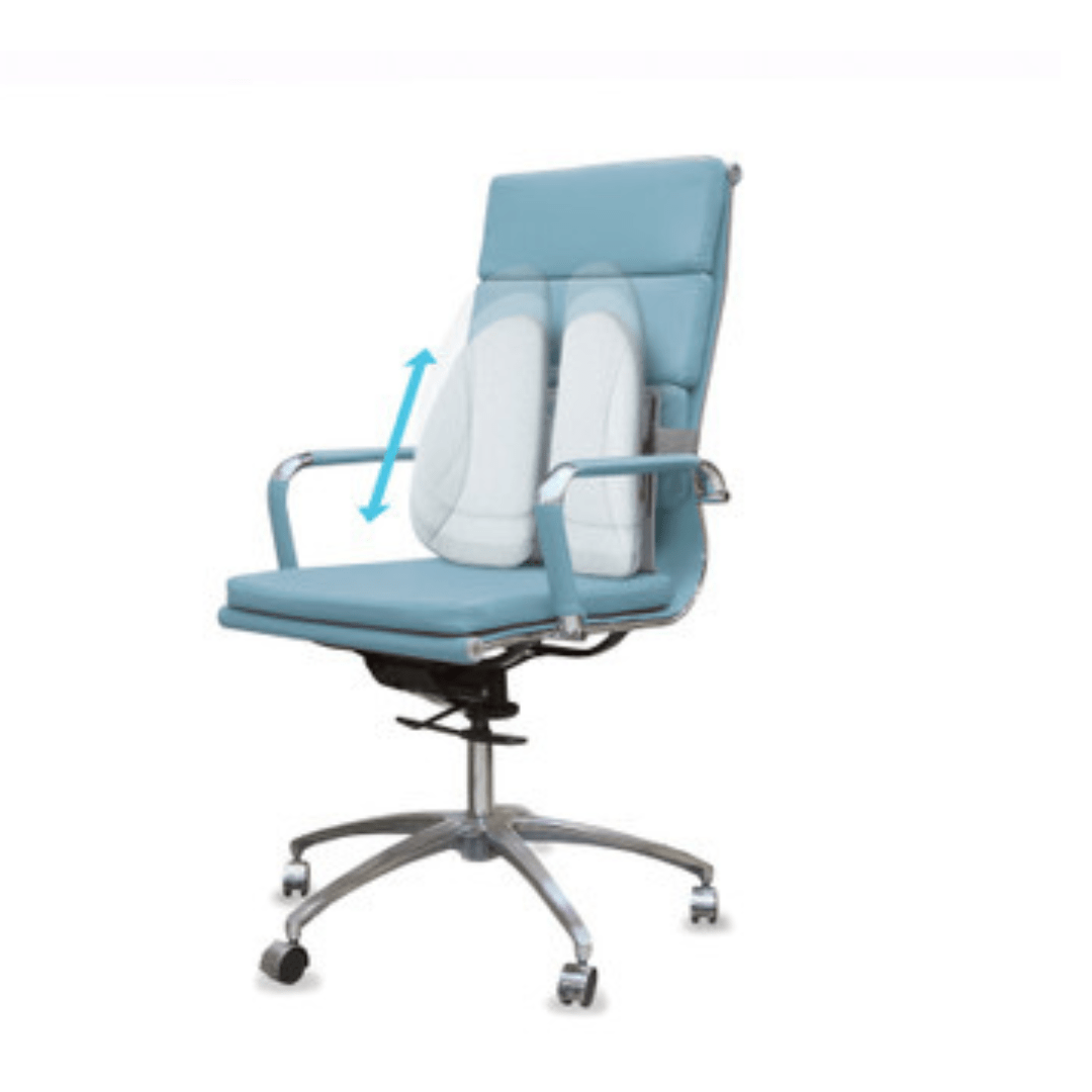 Homedics_Back Support Cushion