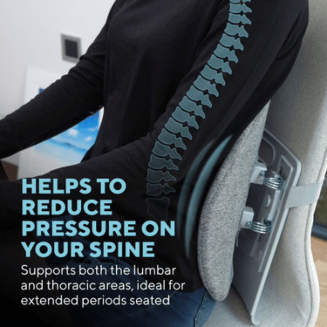 Homedics_Back Support Cushion